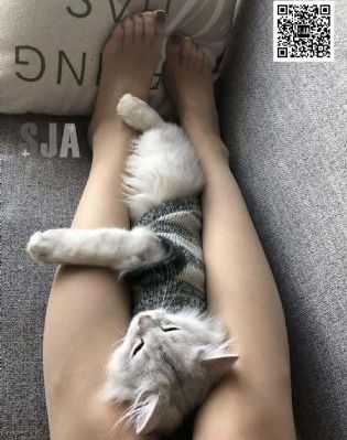 超神传说虚月童子1:超神诞生篇_超清完整版观看