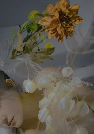 秘密潜入3_超清在线观看电视